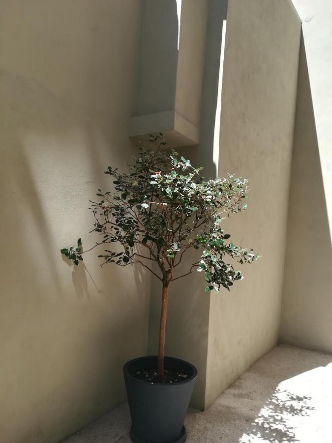 Amaoporto - Se Apartman Kültér fotó